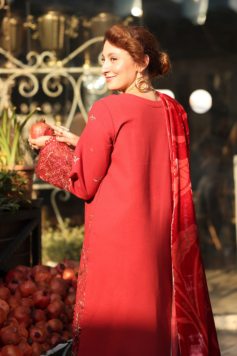 Cold Brew – authentic Pakistani dress from the Rangrasiya Carnation Luxury Shawl Edit collection for women in the UK.