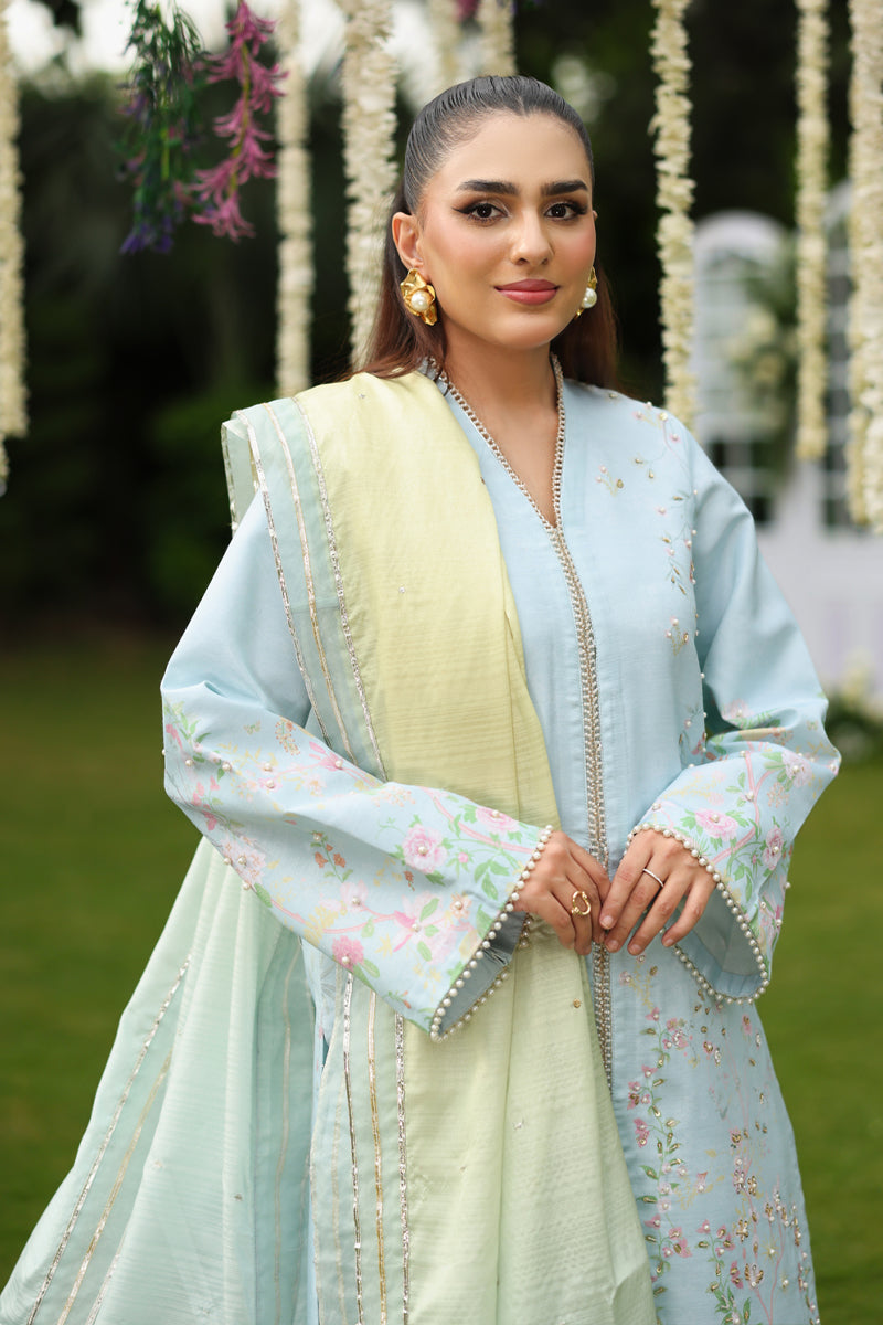 Feryal – authentic Pakistani formal dress from the Rang Rasiya Luxe Silk collection for women in the UK.