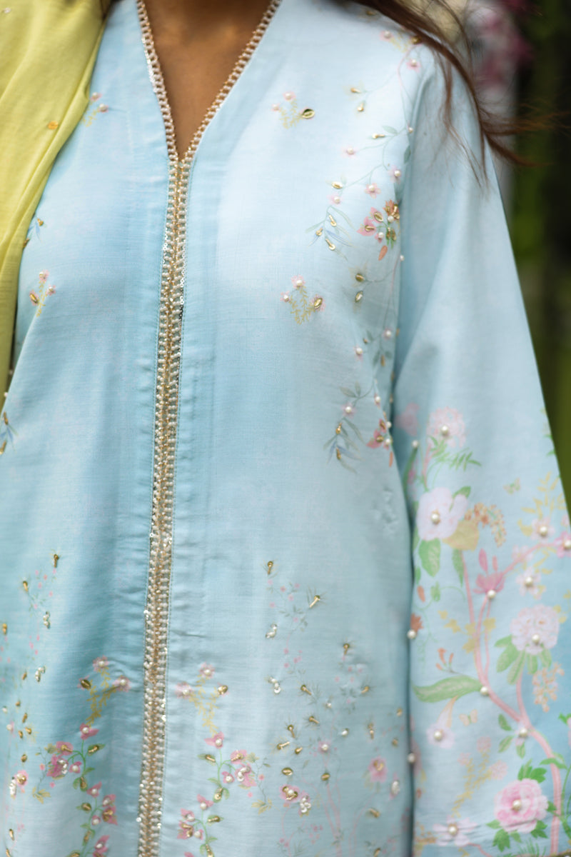 Feryal – authentic Pakistani formal dress from the Rang Rasiya Luxe Silk collection for women in the UK.