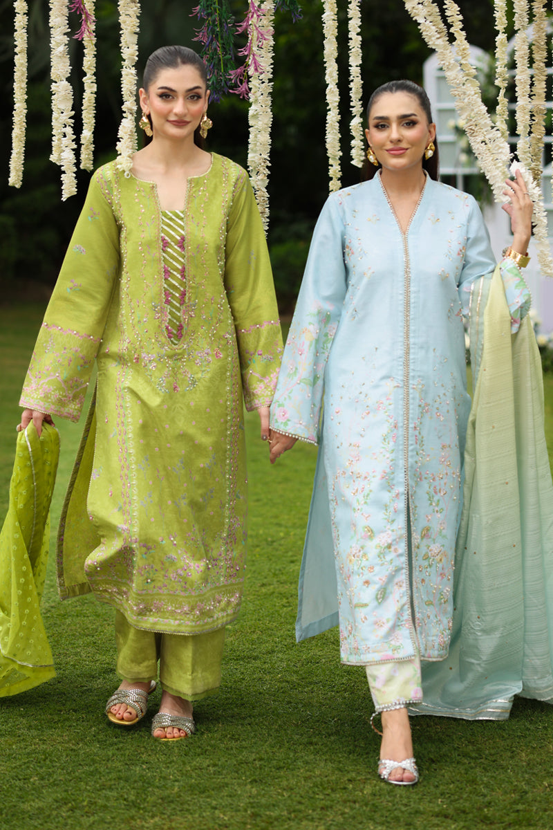 Feryal – authentic Pakistani formal dress from the Rang Rasiya Luxe Silk collection for women in the UK.