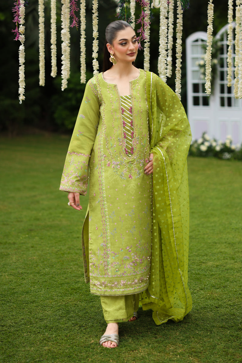 Radin – authentic Pakistani formal dress from the Rangasiya Luxe Silk collection for women in the UK.