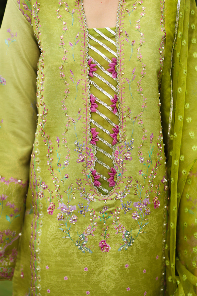Radin – authentic Pakistani formal dress from the Rangasiya Luxe Silk collection for women in the UK.