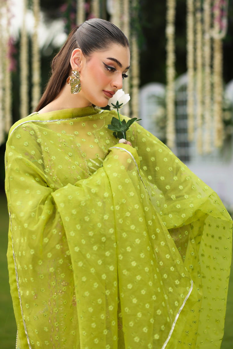 Radin – authentic Pakistani formal dress from the Rangasiya Luxe Silk collection for women in the UK.