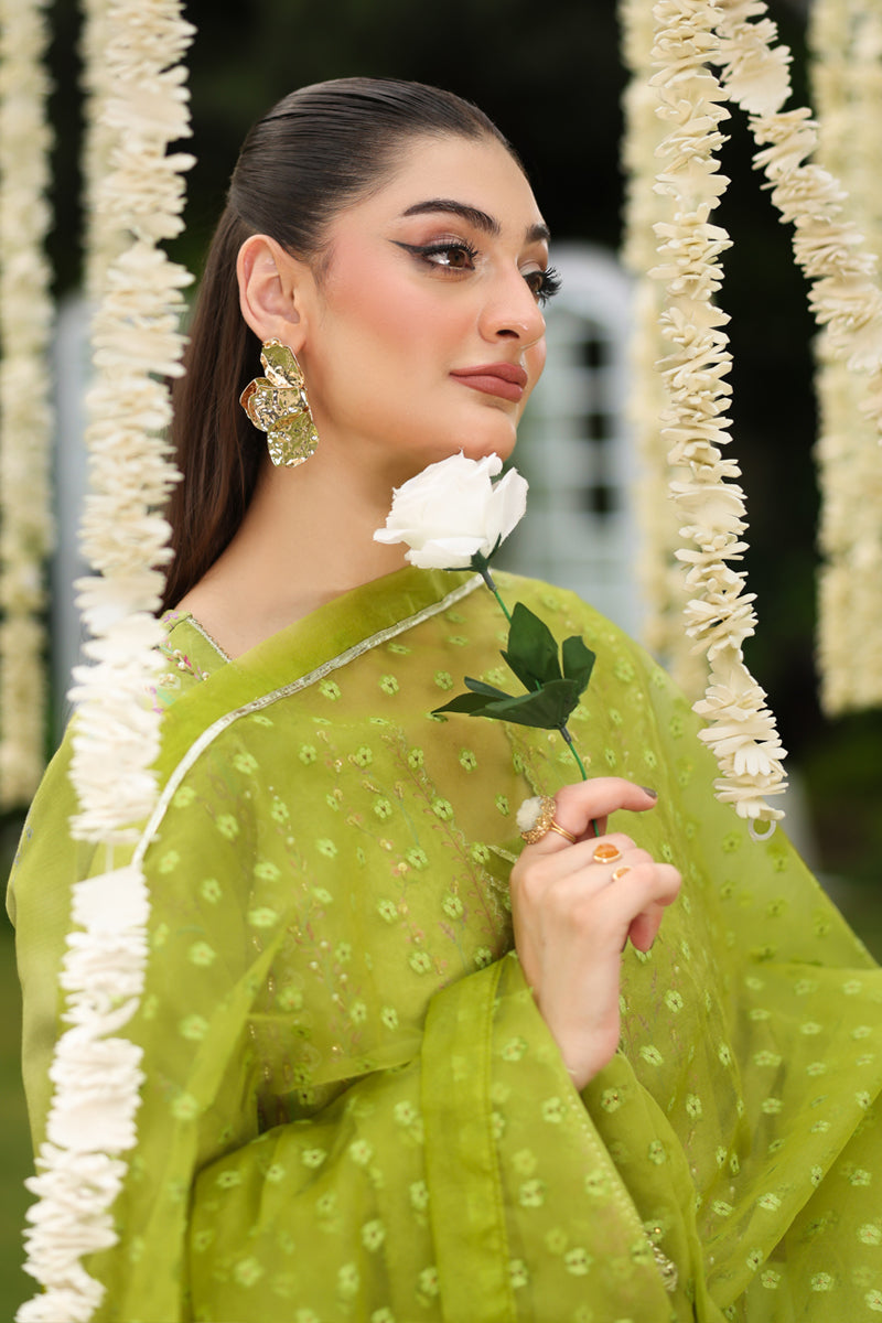 Radin – authentic Pakistani formal dress from the Rangasiya Luxe Silk collection for women in the UK.