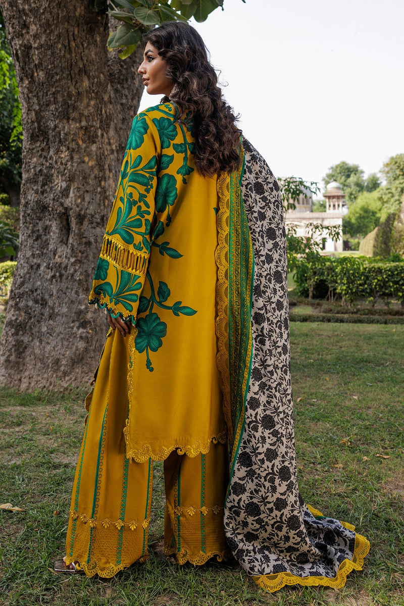 Charizma | Combination Winter 25 | CCW6-11