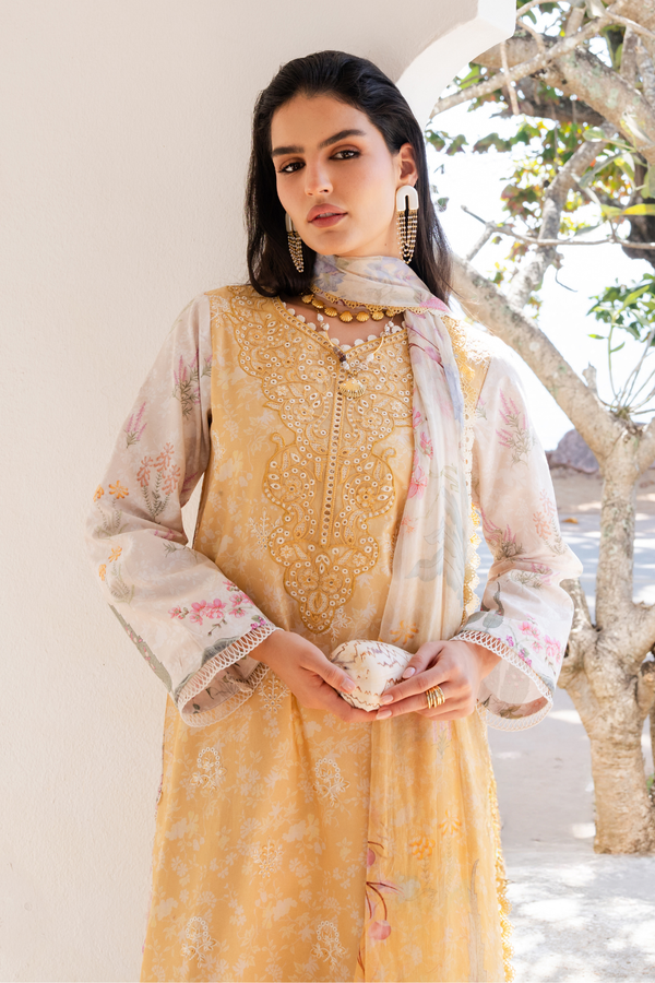 Aabyaan | Shezlin Chikankari 26 | NURAYA (AZ-10) by Aabyaan - Designer Dress - Type : Luxury Dress - Available at Libayah - 100% Original