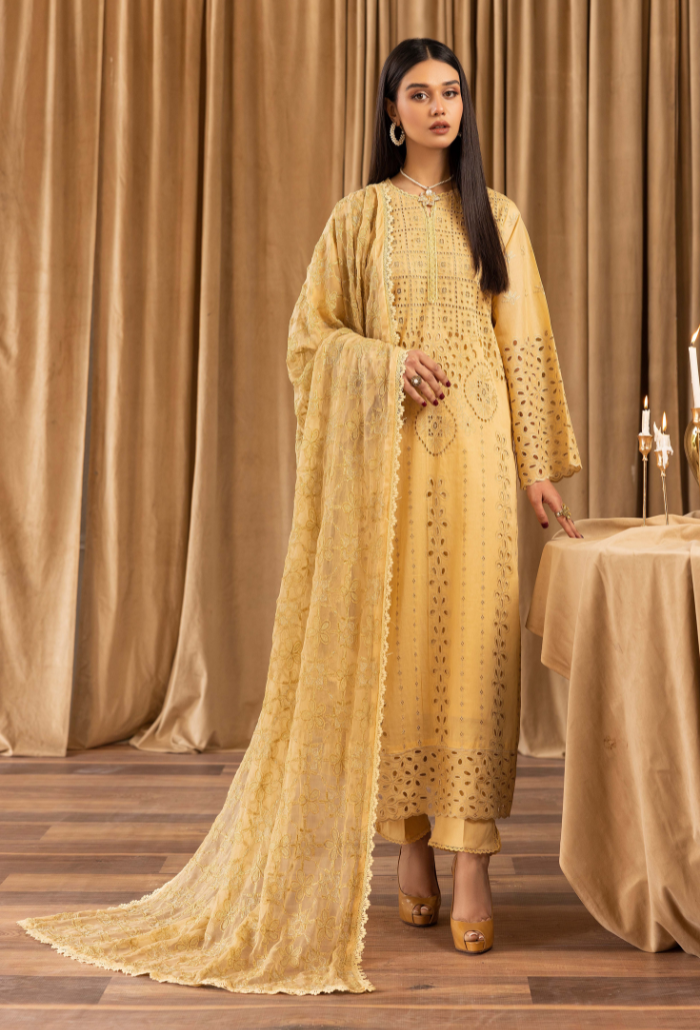 Humdum | Elegant Chikankari 25 | D02 by Humdum - Designer Dress - Type: Ladies Clothes - Available at Libayah - 100% Original