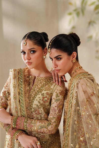 CH14-02 – authentic Pakistani formal dress from the Baroque Chantelle 25 collection for women in the UK.