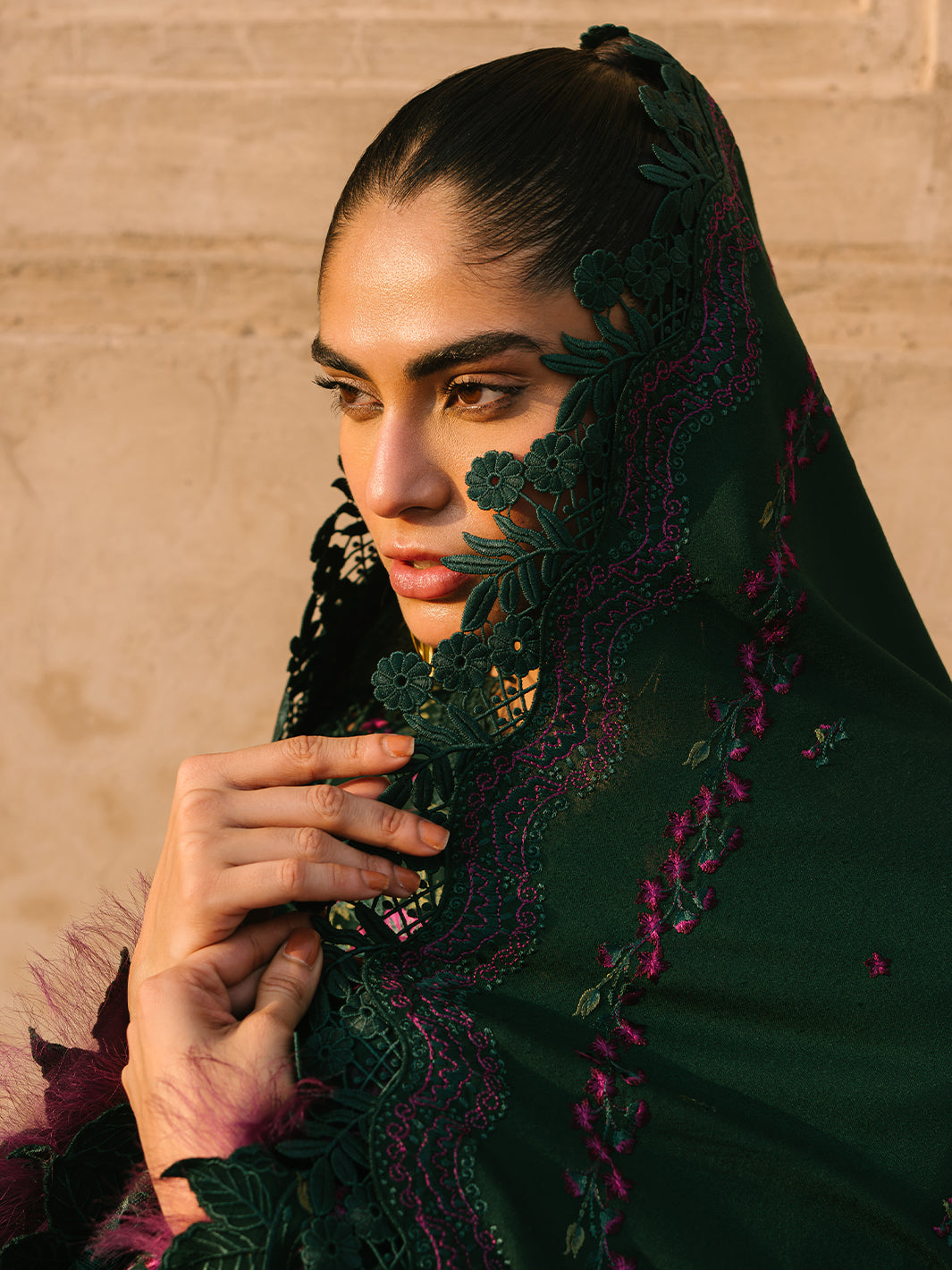 Bin Ilyas | Gulabi Baagh Winter 24 | 152 B by Bin Ilyas - Designer Dress - Type: Ladies Clothes - Available at Libayah - 100% Original