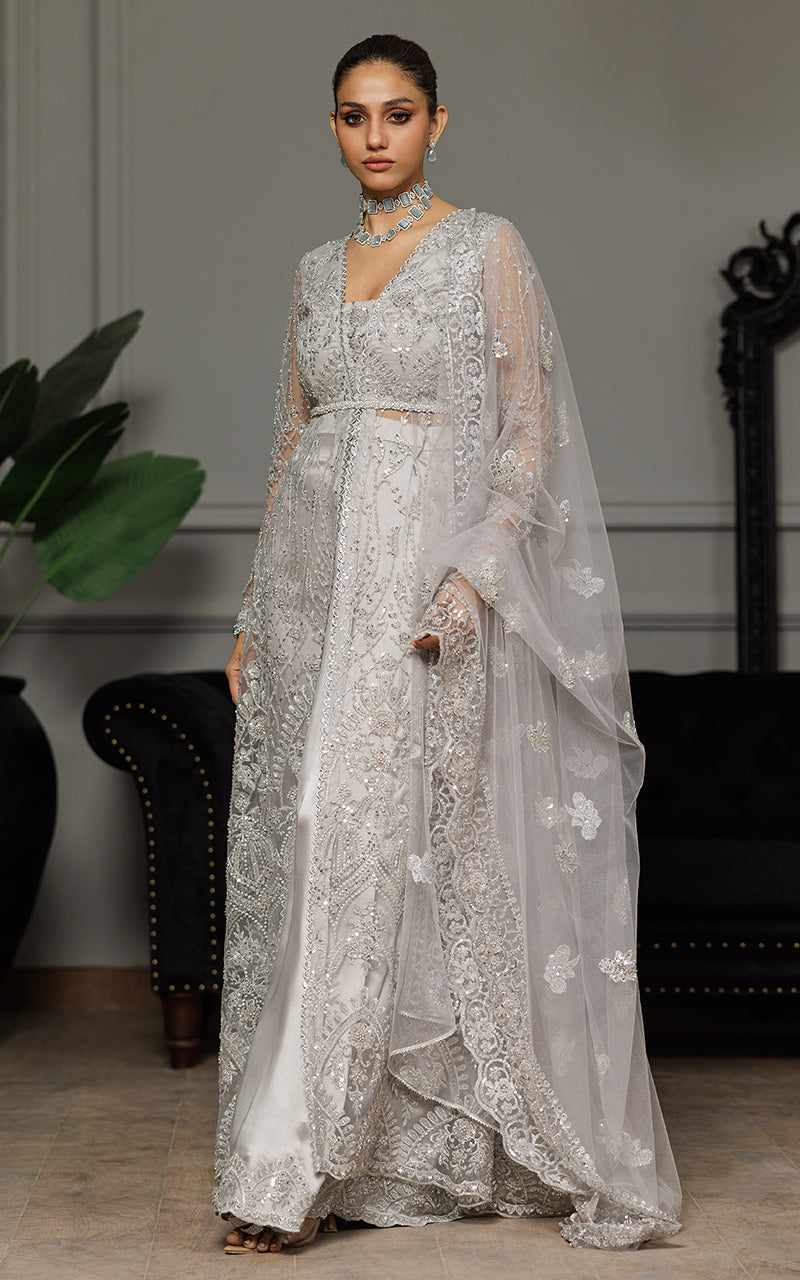 Threads and Motifs | Formal Dresses 25 | Net Embroidered Dress With Skirt And Dupatta by Threads and Motifs - Designer Dress  - Type : Ladies Clothes - Available at Libayah - 100% Original 