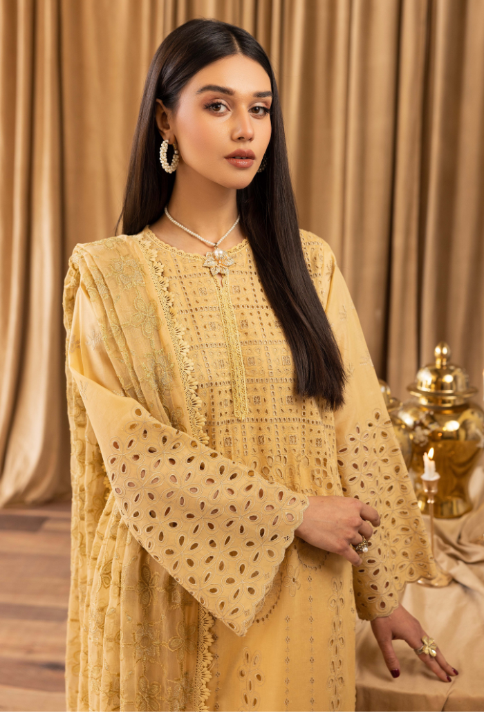 Humdum | Elegant Chikankari 25 | D02 by Humdum - Designer Dress - Type: Ladies Clothes - Available at Libayah - 100% Original