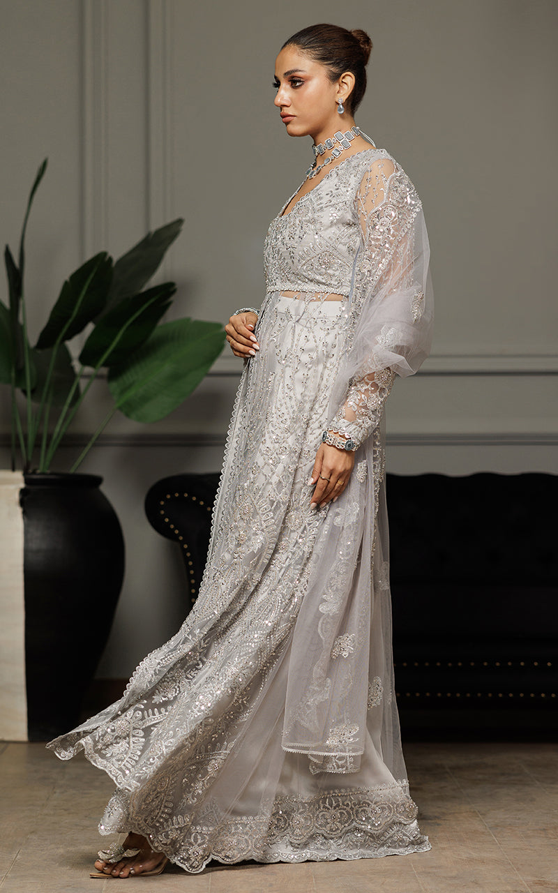 Threads and Motifs | Formal Dresses 25 | Net Embroidered Dress With Skirt And Dupatta by Threads and Motifs - Designer Dress  - Type : Ladies Clothes - Available at Libayah - 100% Original 