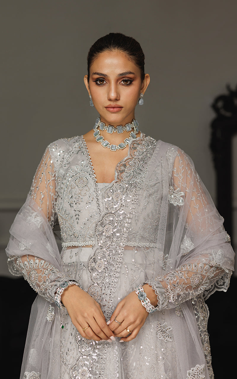Threads and Motifs | Formal Dresses 25 | Net Embroidered Dress With Skirt And Dupatta by Threads and Motifs - Designer Dress  - Type : Ladies Clothes - Available at Libayah - 100% Original 