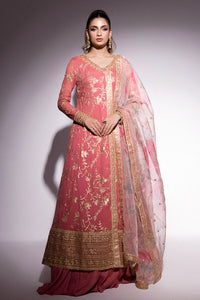 Mushq | Best of Mushq | Coral Almond