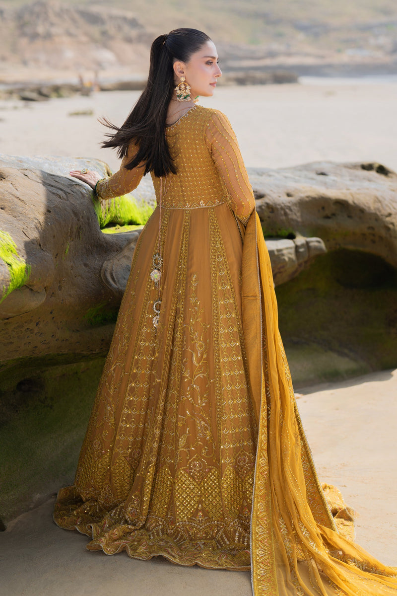 Naqshi | Sahil Kinaray | AINARA by Naqshi - Designer Dress - Type: Ladies Clothes - Available at Libayah - 100% Original