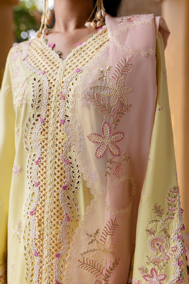 Qalamkar | Q Line Lawn 25 | QM-11 Ina by Qalamkar - Designer Dress - Type: Ladies Clothes - Available at Libayah - 100% Original