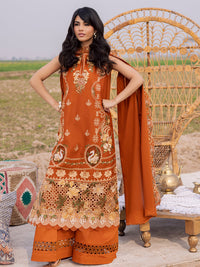 Parishay | Dil e Raqsum 26 | DQ-03 - by Libayah - Registered Vendor of : Parishay - 100% Original Designer Dress
