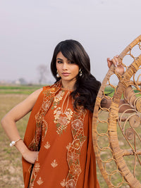 Parishay | Dil e Raqsum 26 | DQ-03 - by Libayah - Registered Vendor of : Parishay - 100% Original Designer Dress
