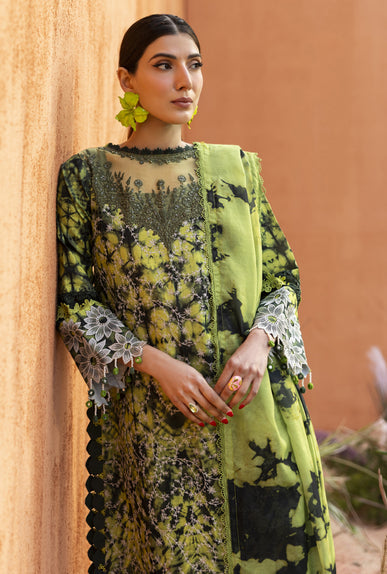 Parishay | Ivy Bloom 26 | IB-04 by Parishay - Designer Dress - Type : Luxury Dress - Available at Libayah - 100% Original