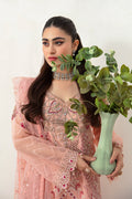 Ramsha | Minhal Organza Collection | M-1007 by Ramsha - Designer Dress - Type: Ladies Clothes - Available at Libayah - 100% Original