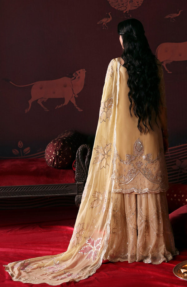 Emaan Adeel | Devdas Formals | MEERA by Emaan Adeel - Designer Dress - Type: Ladies Clothes - Available at Libayah - 100% Original