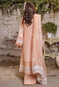 Adans Libas | Chikankari 25 | 4773 by Adans Libas - Designer Dress - Type: Ladies Clothes - Available at Libayah - 100% Original