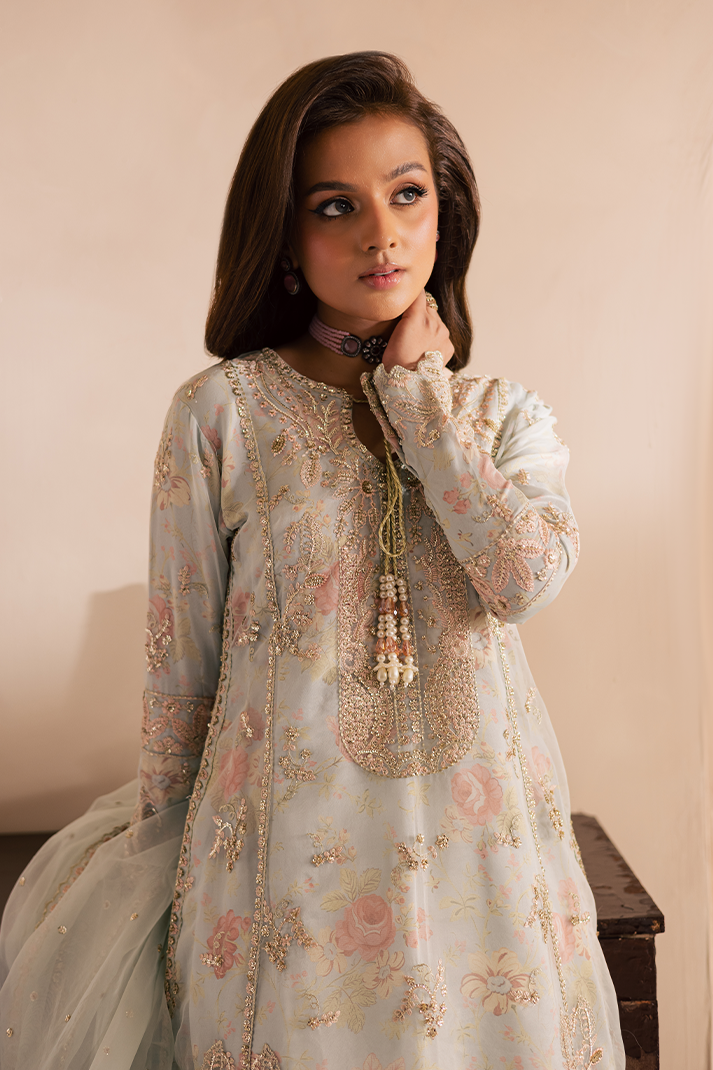 Emaan Adeel |Celine Pret |Arghawani by Emaan Adeel - Designer Dress  - Type : Ladies Clothes - Available at Libayah - 100% Original 