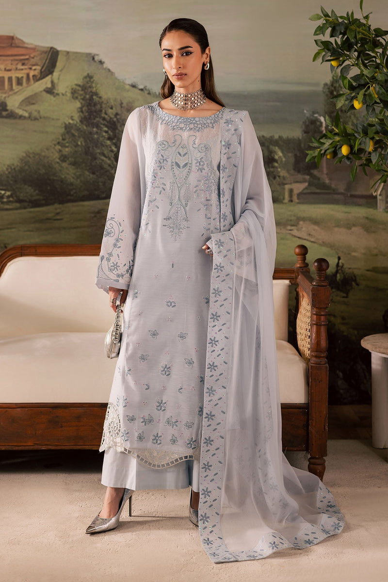 NP-668 – authentic Pakistani dress from the Nureh Shades of Winter collection for women in the UK