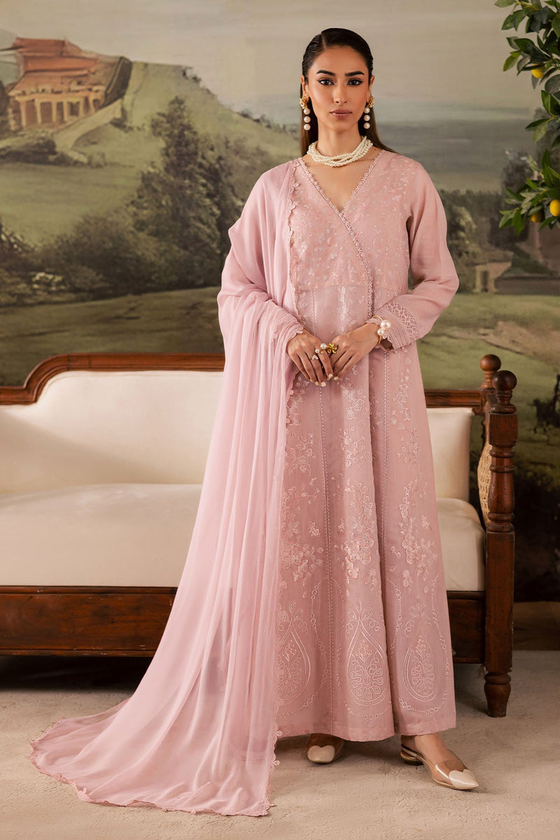 NP-670 – authentic Pakistani dress from the Nureh Shades of Winter collection for women in the UK
