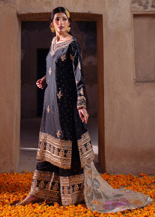 Haseens | Darbar Formals | Shabrang by Haseens - Designer Dress  - Type : Ladies Clothes - Available at Libayah - 100% Original 