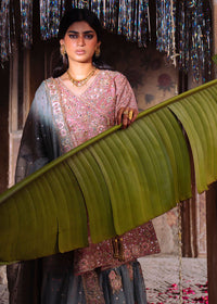 Haseens | Darbar Formals | Gulbarg by Haseens - Designer Dress  - Type : Ladies Clothes - Available at Libayah - 100% Original 
