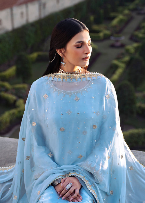 Haseens | Darbar Formals | €b«na by Haseens - Designer Dress  - Type : Ladies Clothes - Available at Libayah - 100% Original 