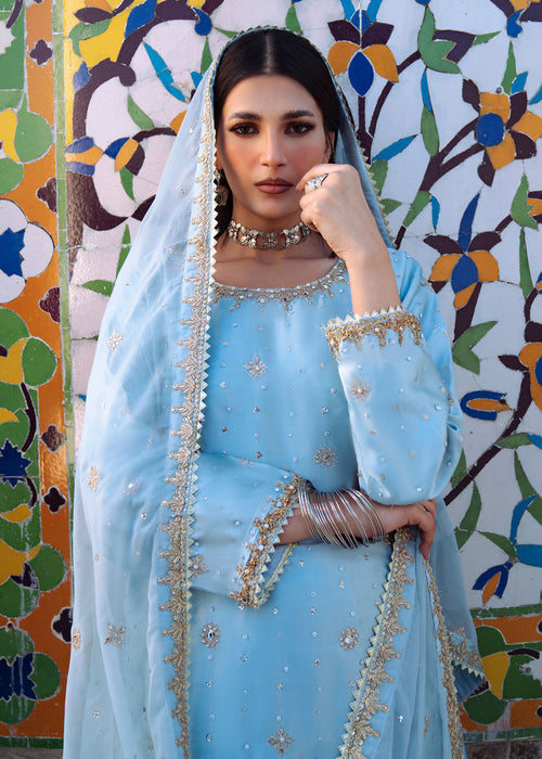 Haseens | Darbar Formals | €b«na by Haseens - Designer Dress  - Type : Ladies Clothes - Available at Libayah - 100% Original 