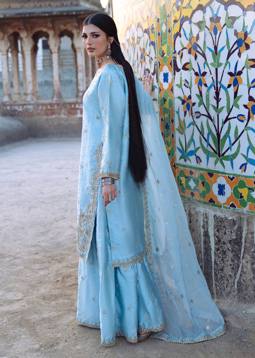 Haseens | Darbar Formals | €b«na by Haseens - Designer Dress  - Type : Ladies Clothes - Available at Libayah - 100% Original 