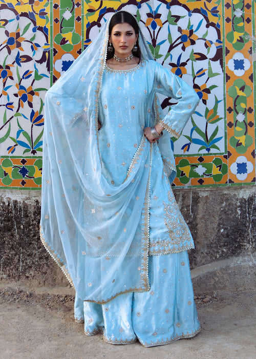 Haseens | Darbar Formals | €b«na by Haseens - Designer Dress  - Type : Ladies Clothes - Available at Libayah - 100% Original 