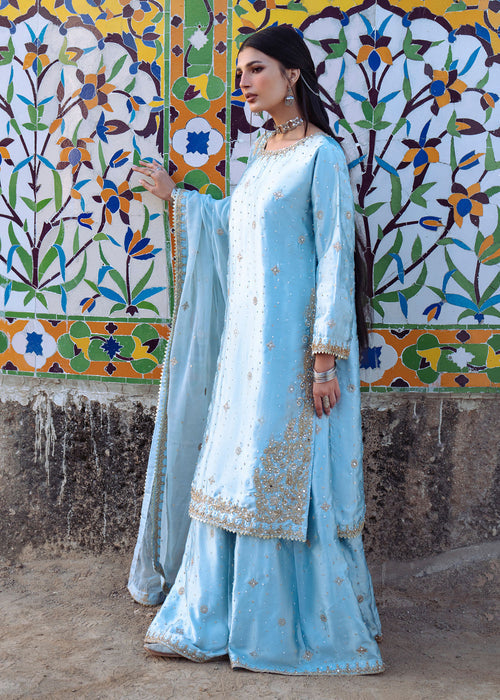 Haseens | Darbar Formals | €b«na by Haseens - Designer Dress  - Type : Ladies Clothes - Available at Libayah - 100% Original 