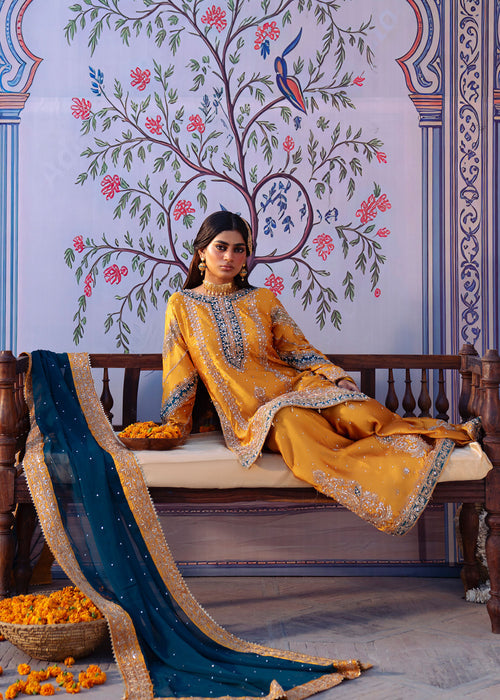Haseens | Darbar Formals | Mehr�b by Haseens - Designer Dress  - Type : Ladies Clothes - Available at Libayah - 100% Original 