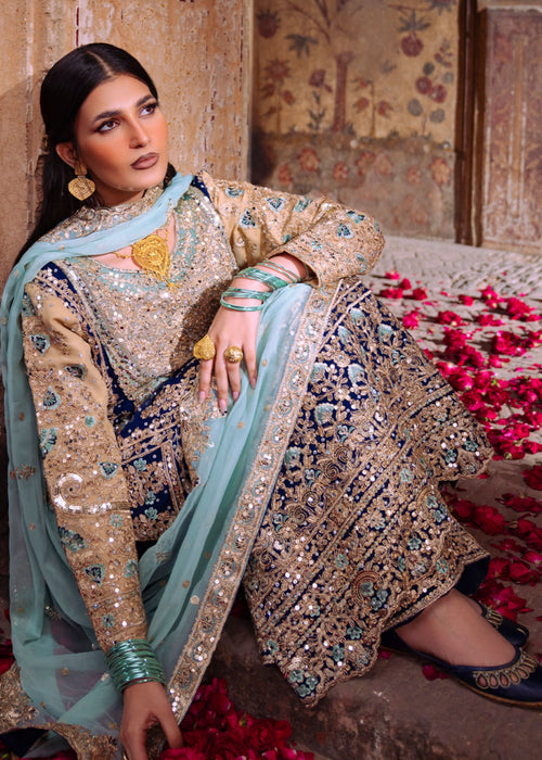 Haseens | Darbar Formals | Sh�hnazr by Haseens - Designer Dress  - Type : Ladies Clothes - Available at Libayah - 100% Original 