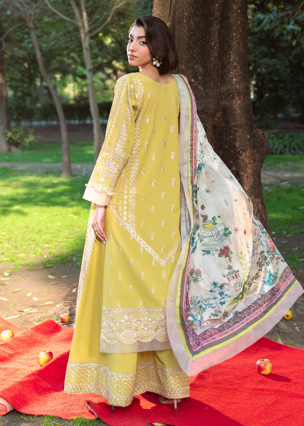 Afrozeh | Basic Pret 26 RTW | NACRE by Afrozeh - Designer Dress  - Type : Ladies Clothes - Available at Libayah - 100% Original 
