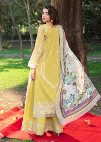 Afrozeh | Basic Pret 26 RTW | NACRE by Afrozeh - Designer Dress  - Type : Ladies Clothes - Available at Libayah - 100% Original 