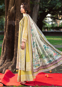 Afrozeh | Basic Pret 26 RTW | NACRE by Afrozeh - Designer Dress  - Type : Ladies Clothes - Available at Libayah - 100% Original 