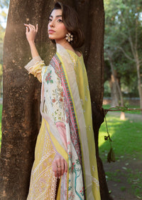 Afrozeh | Basic Pret 26 RTW | NACRE by Afrozeh - Designer Dress  - Type : Ladies Clothes - Available at Libayah - 100% Original 