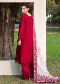 Afrozeh | Basic Pret 26 RTW | NACRE by Afrozeh - Designer Dress  - Type : Ladies Clothes - Available at Libayah - 100% Original 