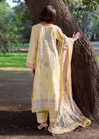 Afrozeh | Basic Pret 26 RTW | NACRE by Afrozeh - Designer Dress  - Type : Ladies Clothes - Available at Libayah - 100% Original 