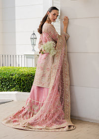 Afrozeh | Basic Pret 26 RTW | NACRE by Afrozeh - Designer Dress  - Type : Ladies Clothes - Available at Libayah - 100% Original 