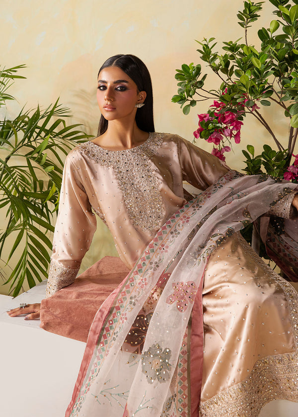 Afrozeh | Basic Pret 26 RTW | NACRE by Afrozeh - Designer Dress  - Type : Ladies Clothes - Available at Libayah - 100% Original 