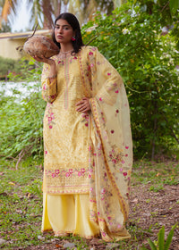 Haseens | Raha Pret | Inshara by Haseens - Designer Dress  - Type : Ladies Clothes - Available at Libayah - 100% Original 