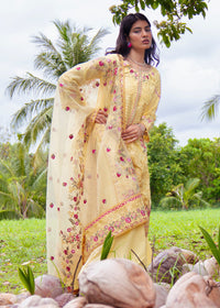 Haseens | Raha Pret | Inshara by Haseens - Designer Dress  - Type : Ladies Clothes - Available at Libayah - 100% Original 