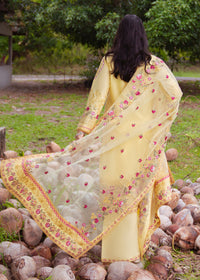 Haseens | Raha Pret | Inshara by Haseens - Designer Dress  - Type : Ladies Clothes - Available at Libayah - 100% Original 