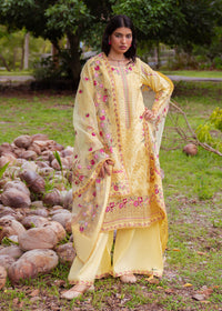 Haseens | Raha Pret | Inshara by Haseens - Designer Dress  - Type : Ladies Clothes - Available at Libayah - 100% Original 